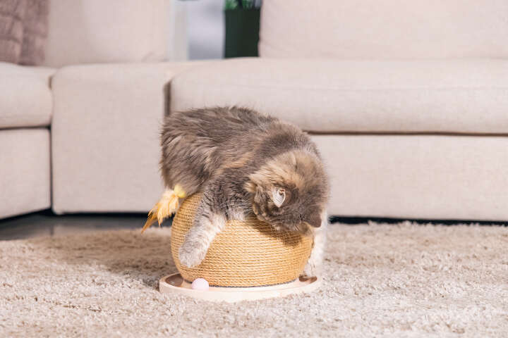 Designed by Lotte Kratz- und Spielball Mila